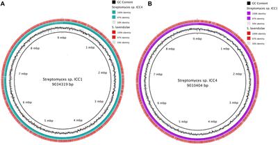 Whole Genome Sequencing and Metabolomic Study of Cave Streptomyces Isolates ICC1 and ICC4